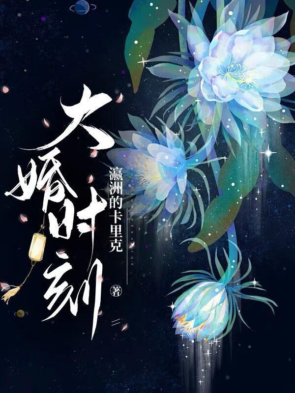 大婚时刻 大婚时刻